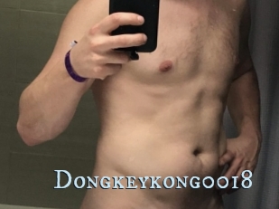 Dongkeykong0018