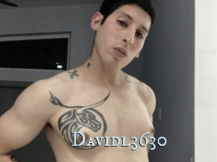 Davidl3630