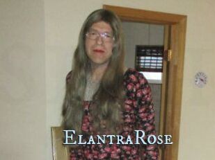 Elantra_Rose