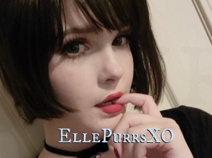 EllePurrsXO