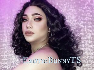 ExoticBunnyTS