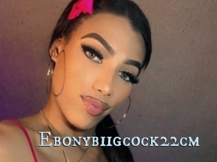 Ebonybiigcock22cm