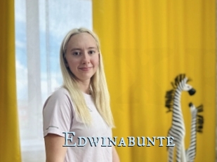 Edwinabunte