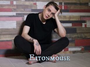 Eitonmouse