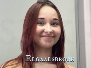 Elgaalsbrook