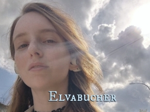 Elvabucher