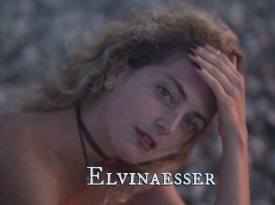 Elvinaesser