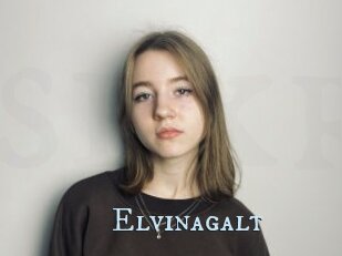 Elvinagalt