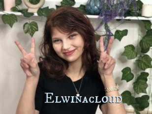 Elwinacloud