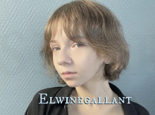 Elwinegallant