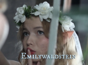 Emilywaldstein