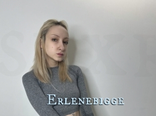 Erlenebigge