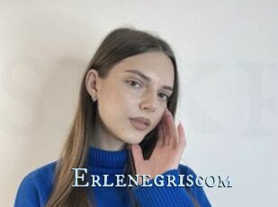 Erlenegriscom