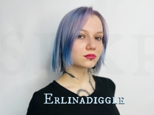 Erlinadiggle