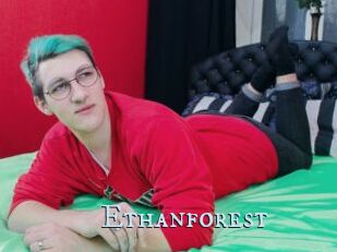 Ethanforest