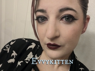 Evvykitten