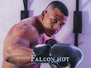 Falcon_hot