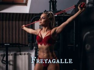 Freyagalle