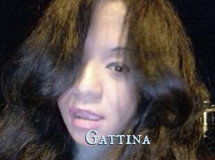 Gattina