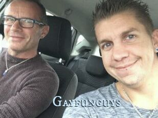 Gayfunguys