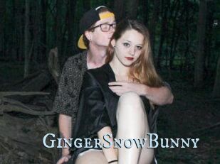 GingerSnowBunny