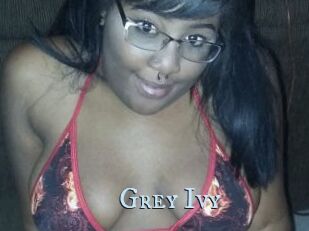 Grey_Ivy