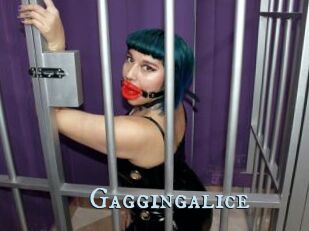 Gaggingalice