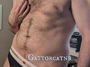 Gattorcatnb