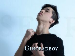 Ginobadboy