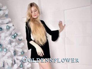 Goldennflower