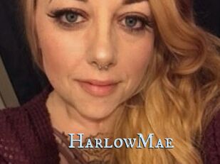 HarlowMae