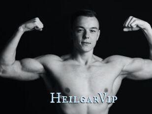 HeilgarVip