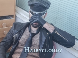 Hairycloudy