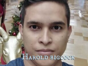 Harold_bigcock