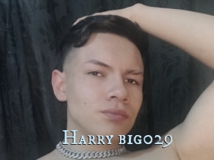 Harry_big029