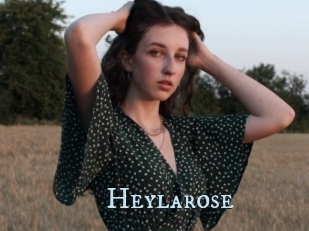 Heylarose