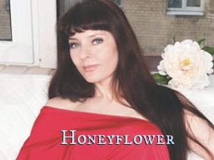 Honeyflower