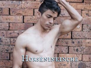 Horsenineinche