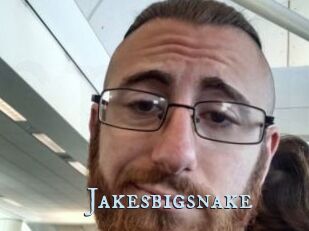 Jakesbigsnake