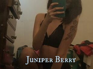 Juniper_Berry