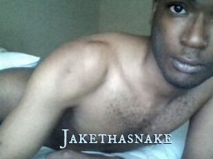 Jake_tha_snake