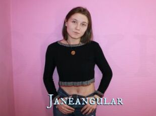 Janeangular