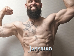 Jayybird