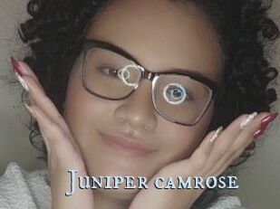 Juniper_camrose