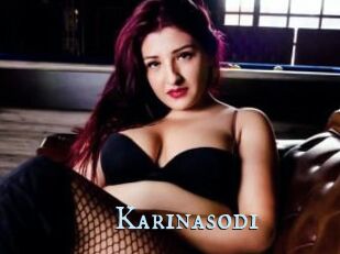 Karinasodi