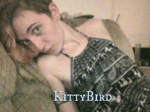 KittyBird