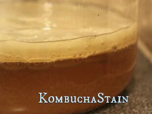 KombuchaStain