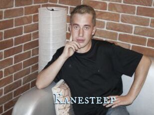 Kanesteep