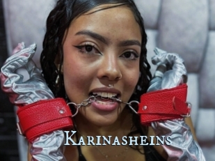 Karinasheins