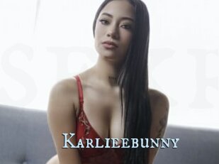 Karlieebunny